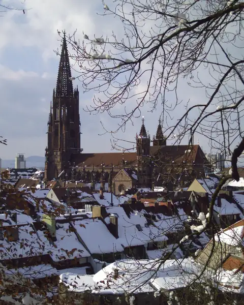 Freiburger Münster