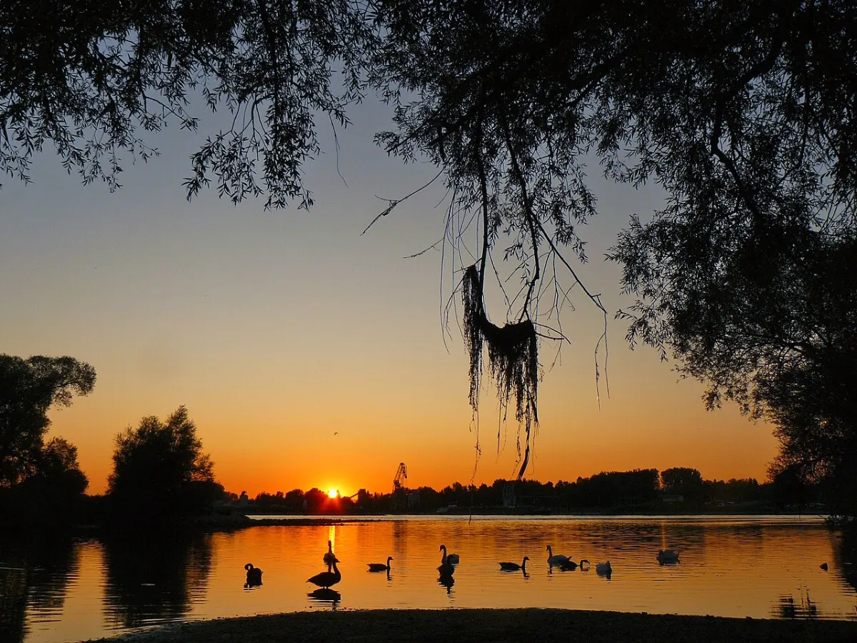Flughafentransfer Au am Rhein – Rheinauen