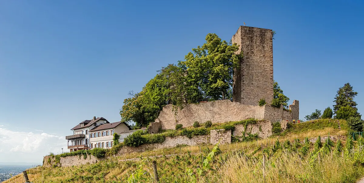 Flughafentransfer Bühl – Bühler Zwetschge