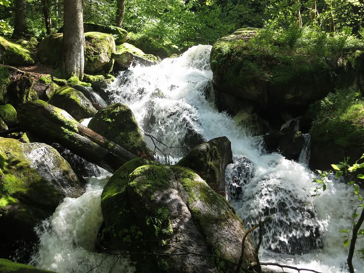 Flughafentransfer Bühlertal – Gertelbach-Wasserfälle