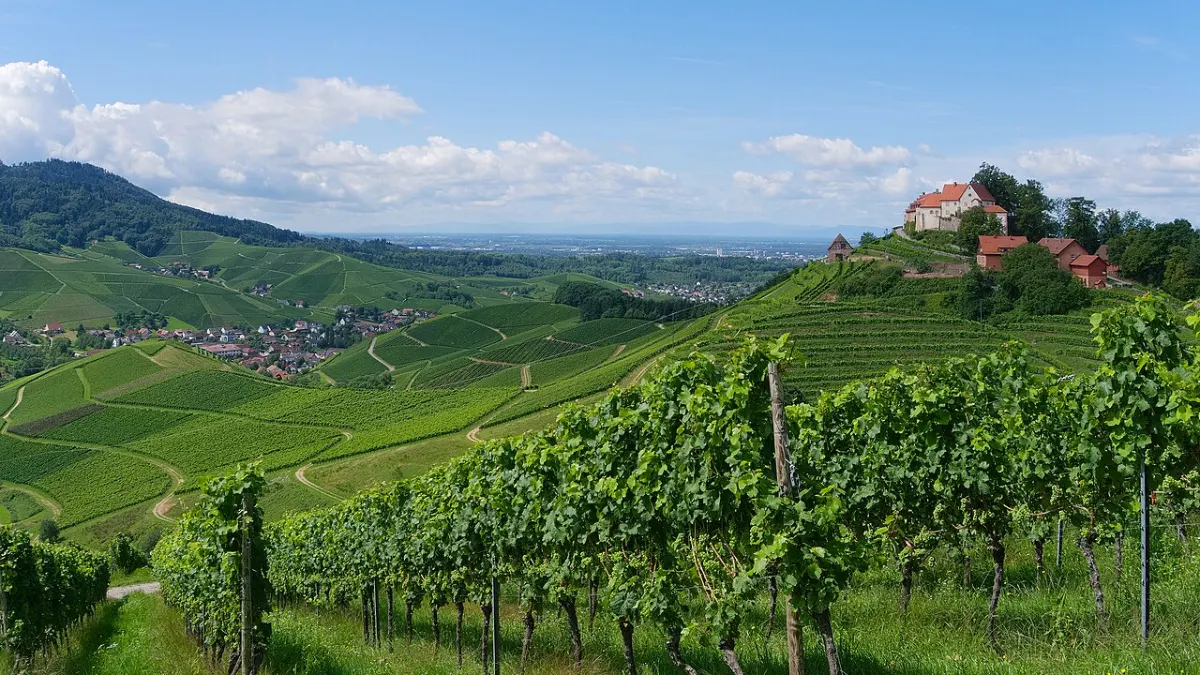 Flughafentransfer Durbach – Schloss Staufenberg