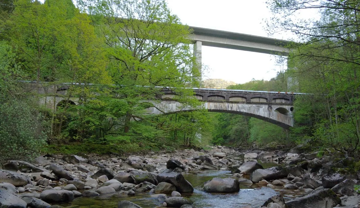 Flughafentransfer Forbach – Holzbrücke Forbach