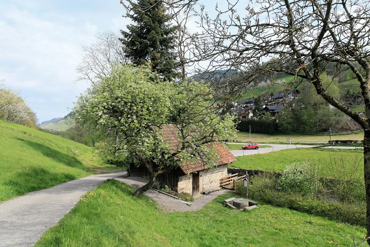 Flughafentransfer Ottenhöfen im Schwarzwald – Mühlenweg