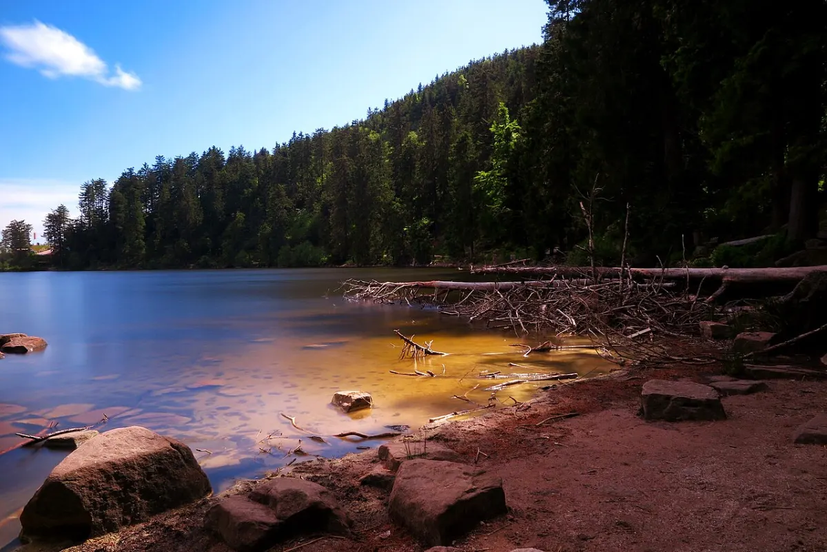 Flughafentransfer Seebach – Mummelsee
