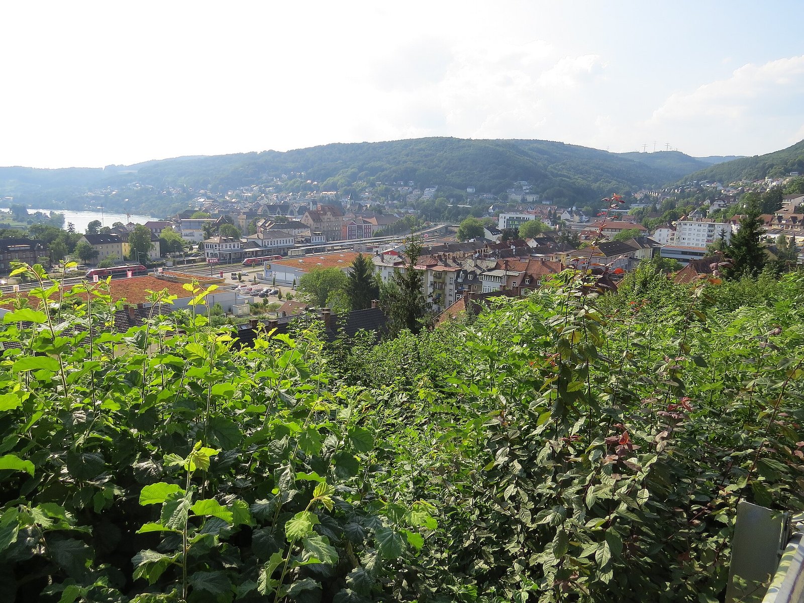 Flughafentransfer Waldshut-Tiengen Frankfurt – Waldshut-Tiengen